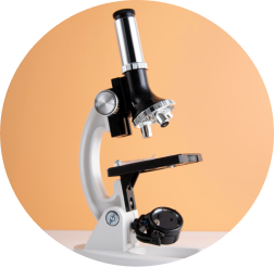 Ciencia y tecnología